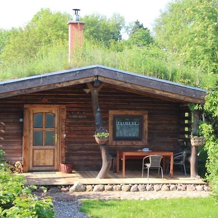Blockhaus Zahren Villa Penzlin Exterior foto